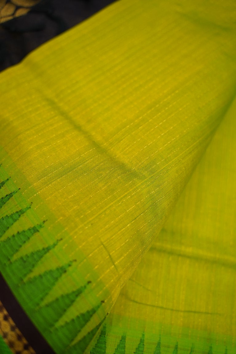 Kanchi Handloom Silk Cotton Saree PC13740