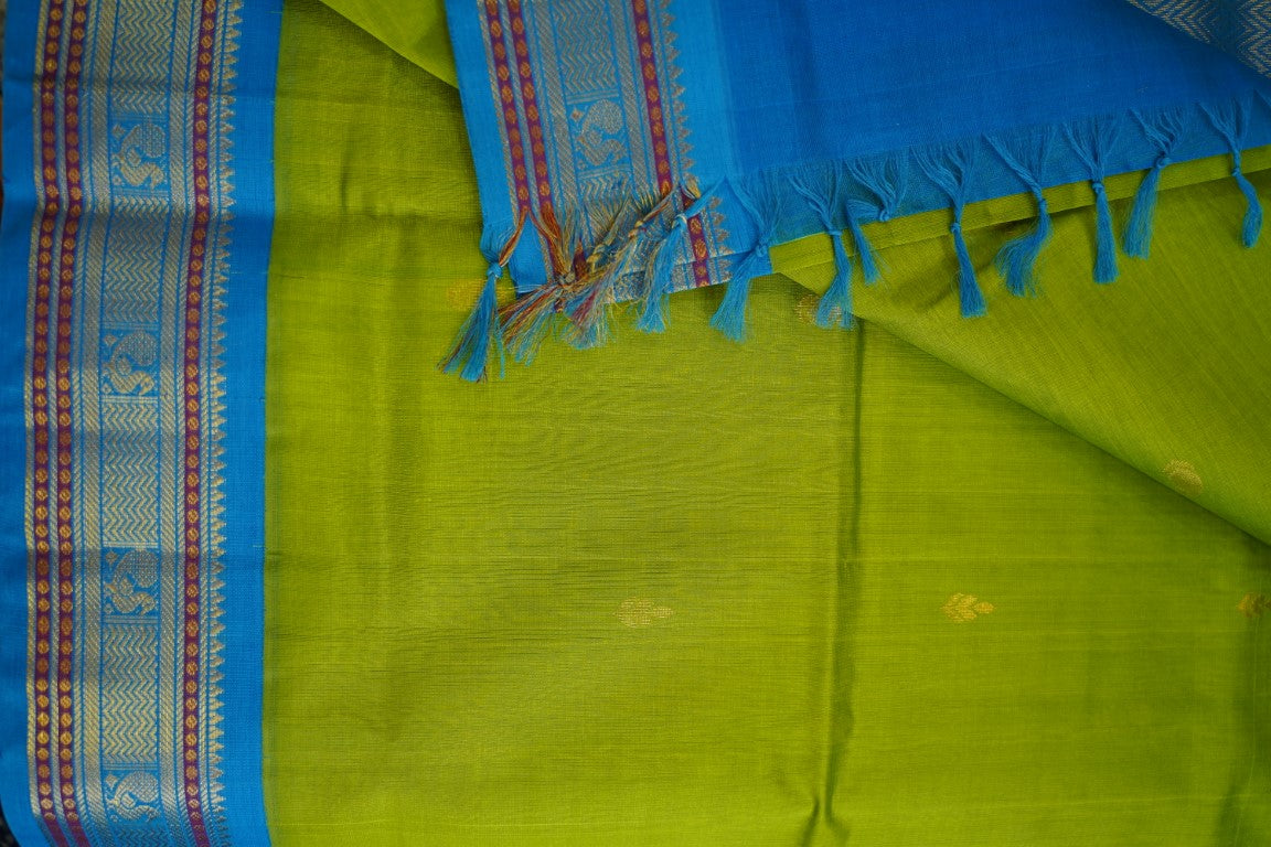 Kanchi Handloom Silk Cotton Saree PC13735