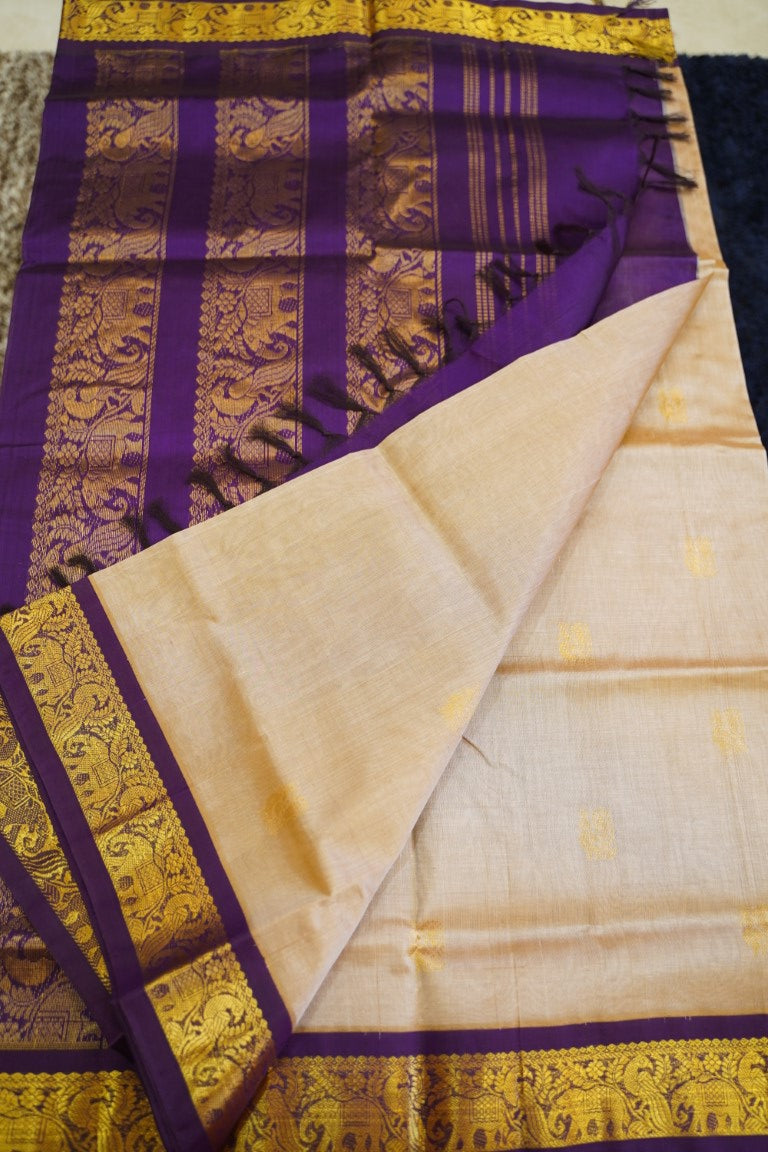 Kanchi Handloom Silk Cotton Saree PC13736