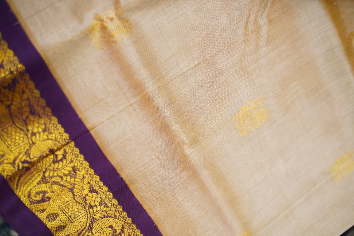 Kanchi Handloom Silk Cotton Saree PC13736