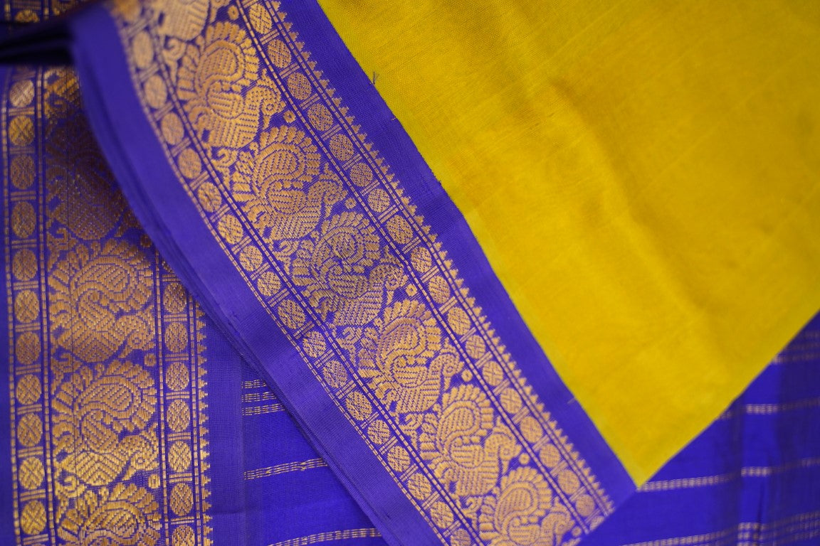 Kanchi Handloom Silk Cotton Saree PC13683