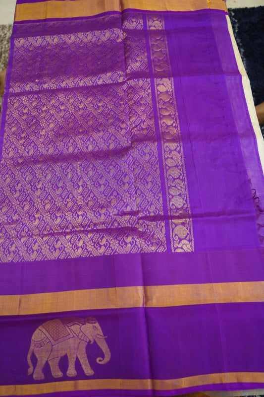 Kanchi Handloom Silk Cotton Saree PC13662