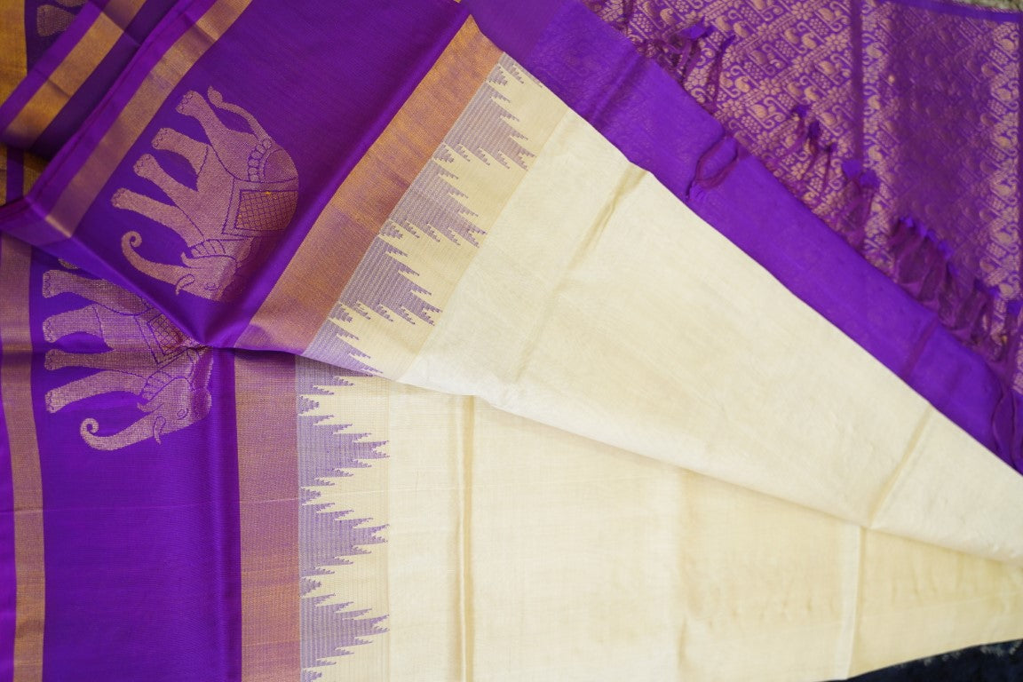 Kanchi Handloom Silk Cotton Saree PC13662