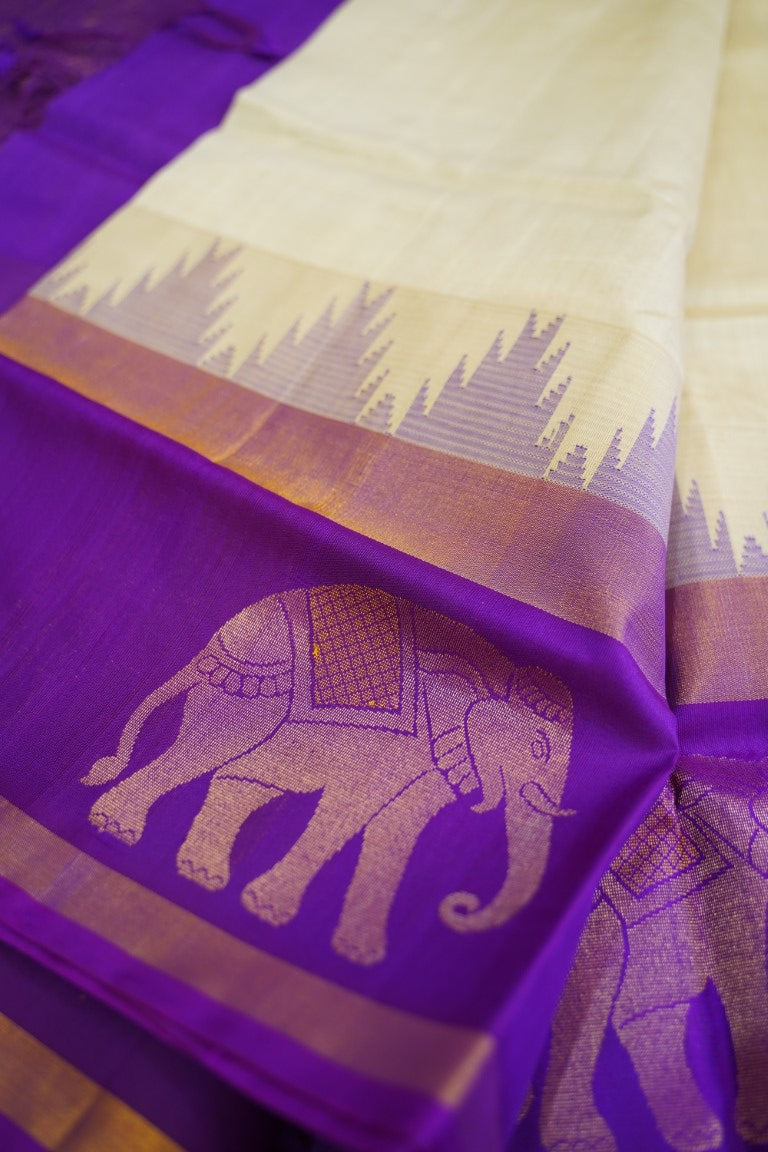 Kanchi Handloom Silk Cotton Saree PC13662