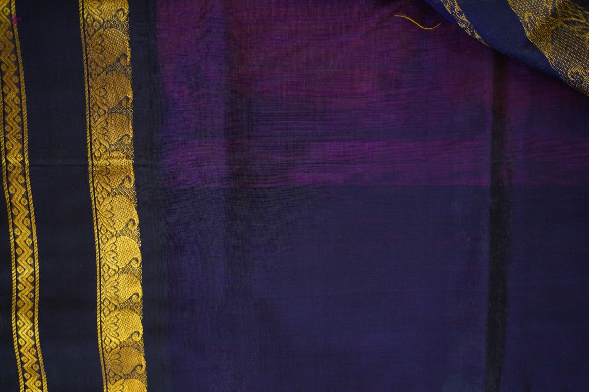 Kanchi Handloom Silk Cotton Saree PC13731