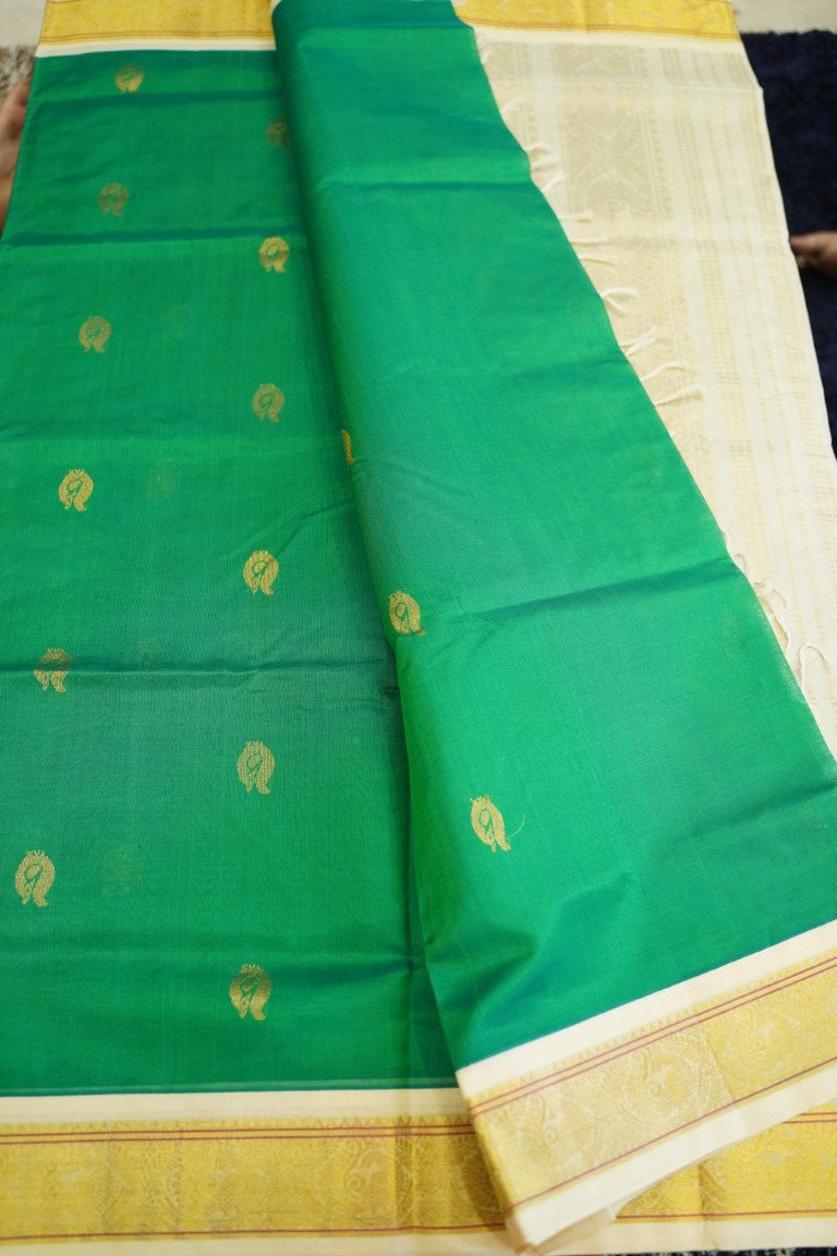 Kanchi Handloom Silk Cotton Saree PC13725