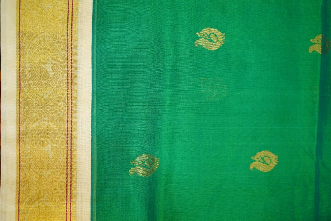 Kanchi Handloom Silk Cotton Saree PC13725