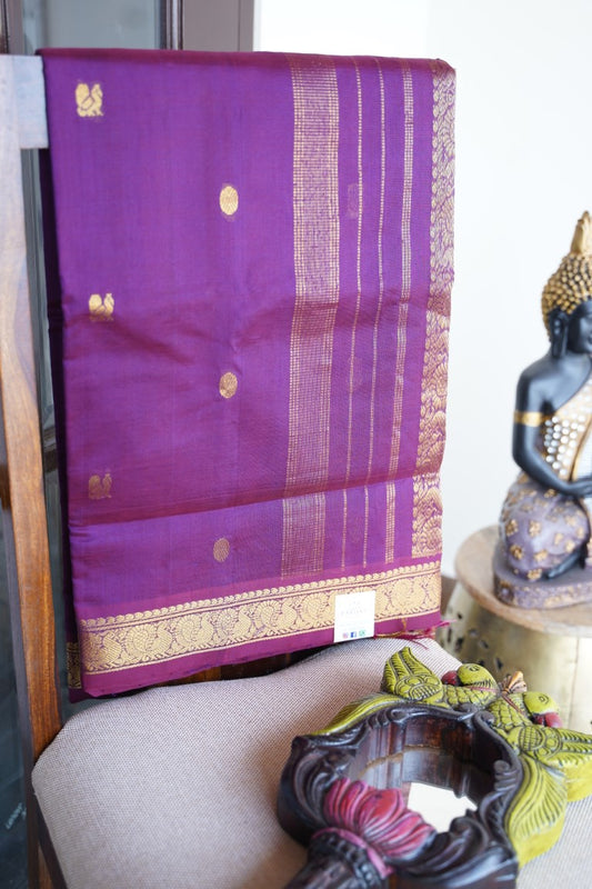 Kanchi Handloom Silk Cotton Saree PC13724