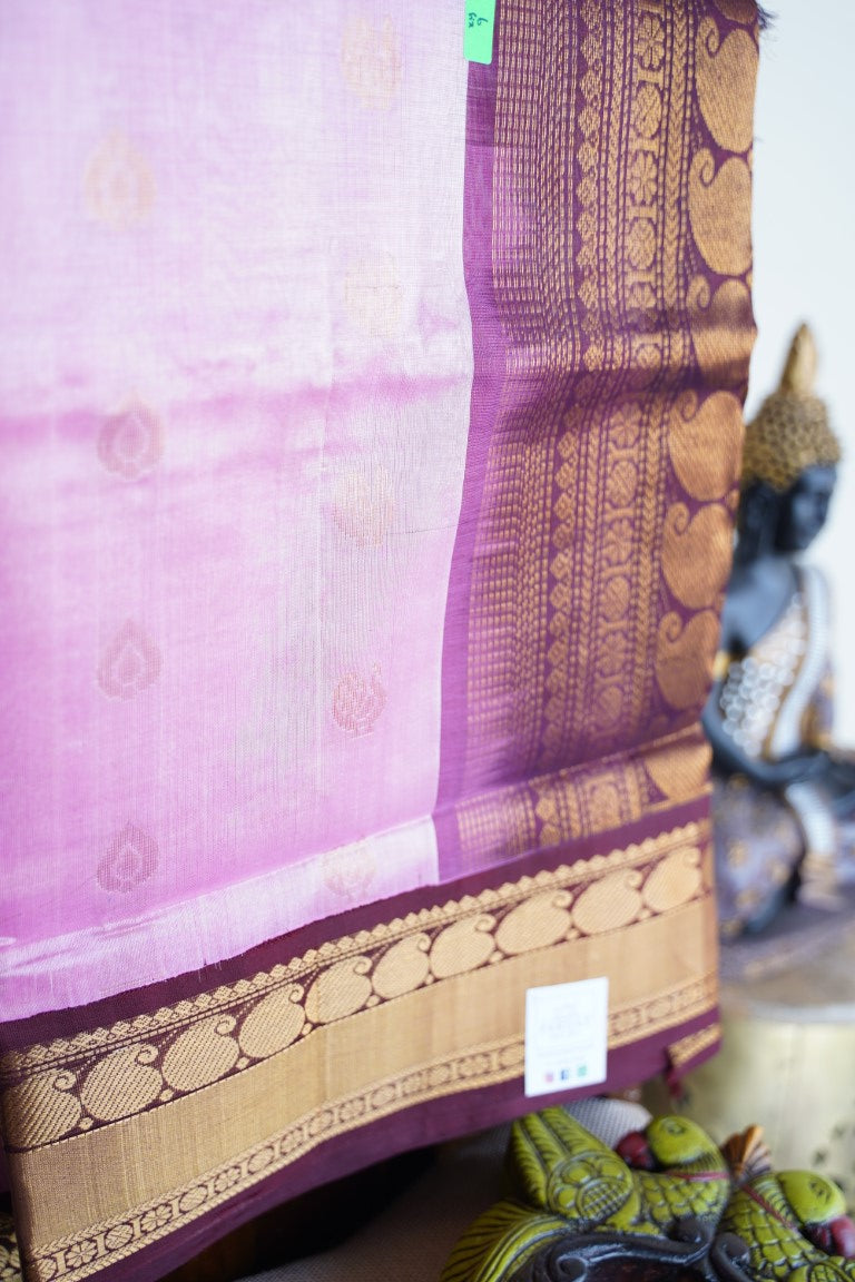 Kanchi Handloom Silk Cotton Saree PC13672