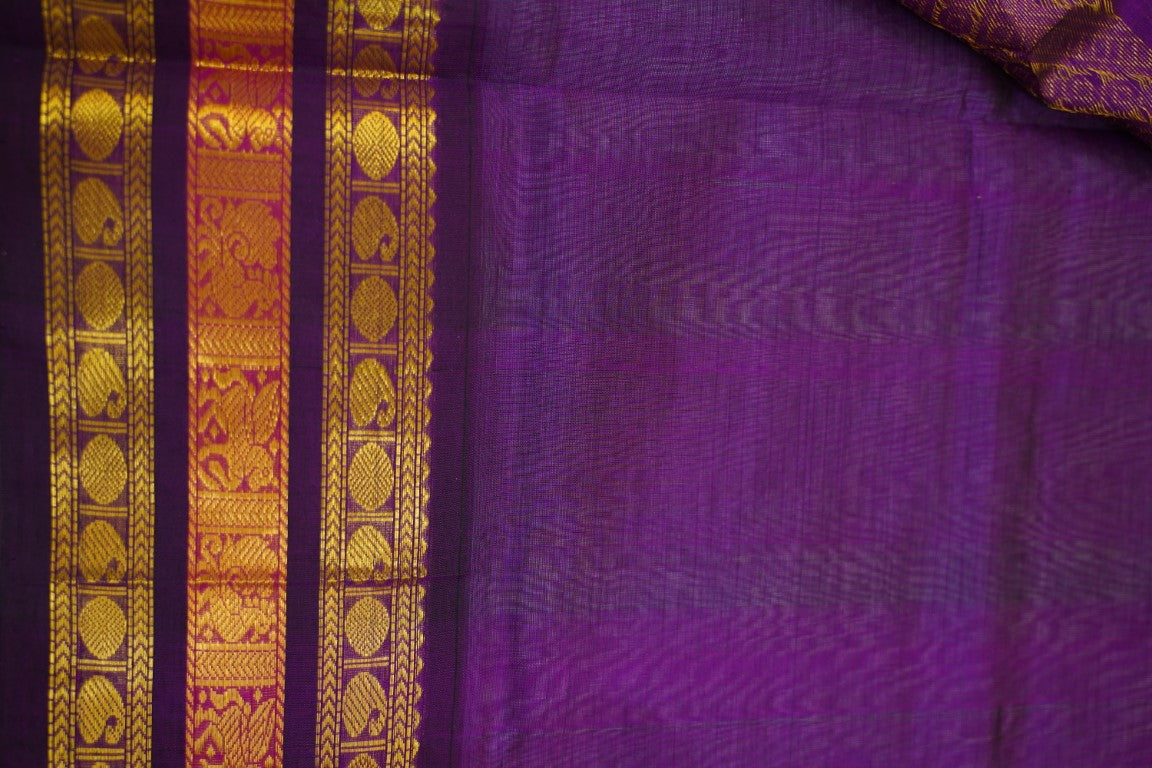 Kanchi Handloom Silk Cotton Saree PC13726