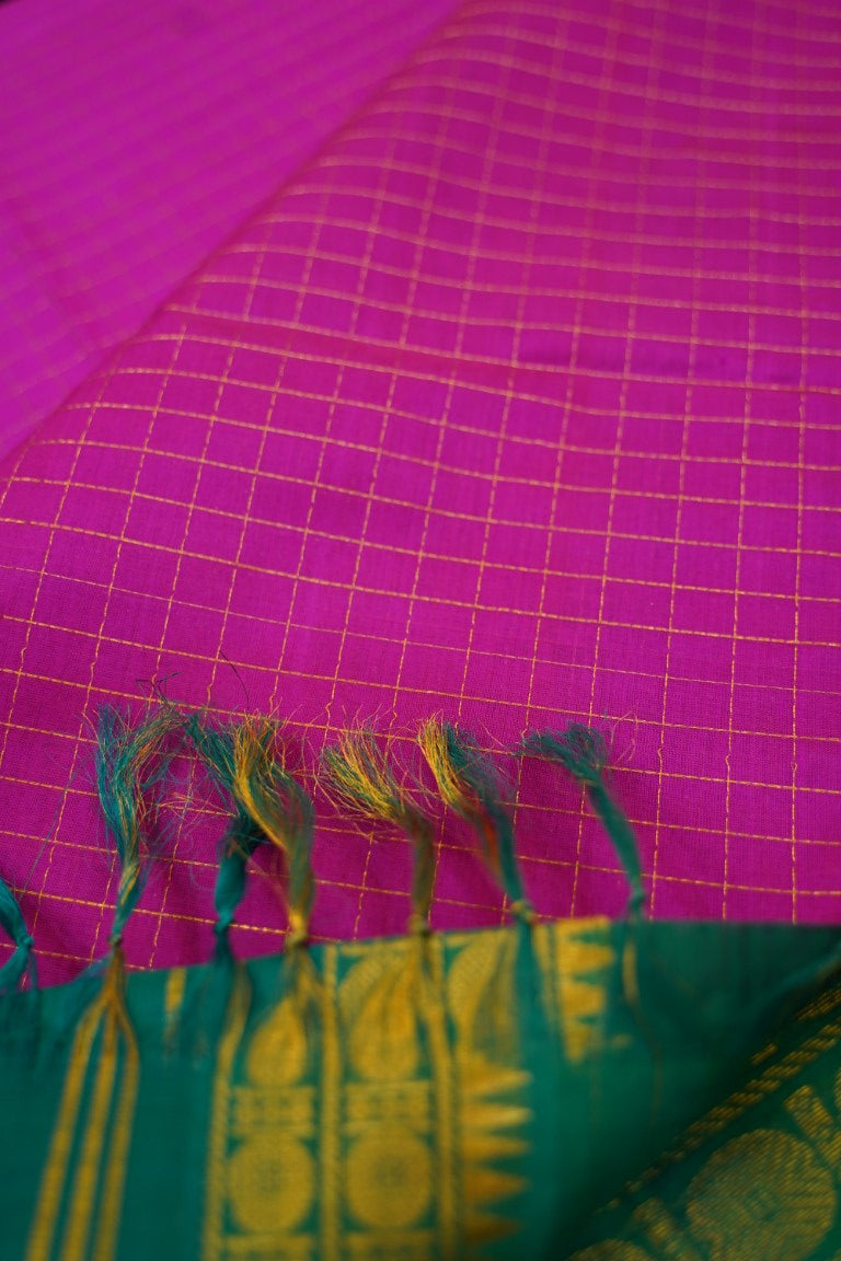 Kanchi Handloom Silk Cotton Saree PC13653