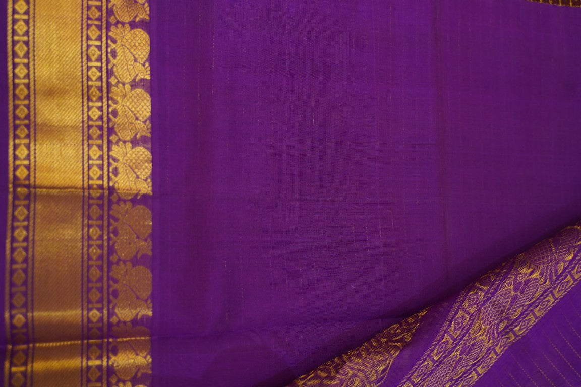 Kanchi Handloom Silk Cotton Saree PC13646