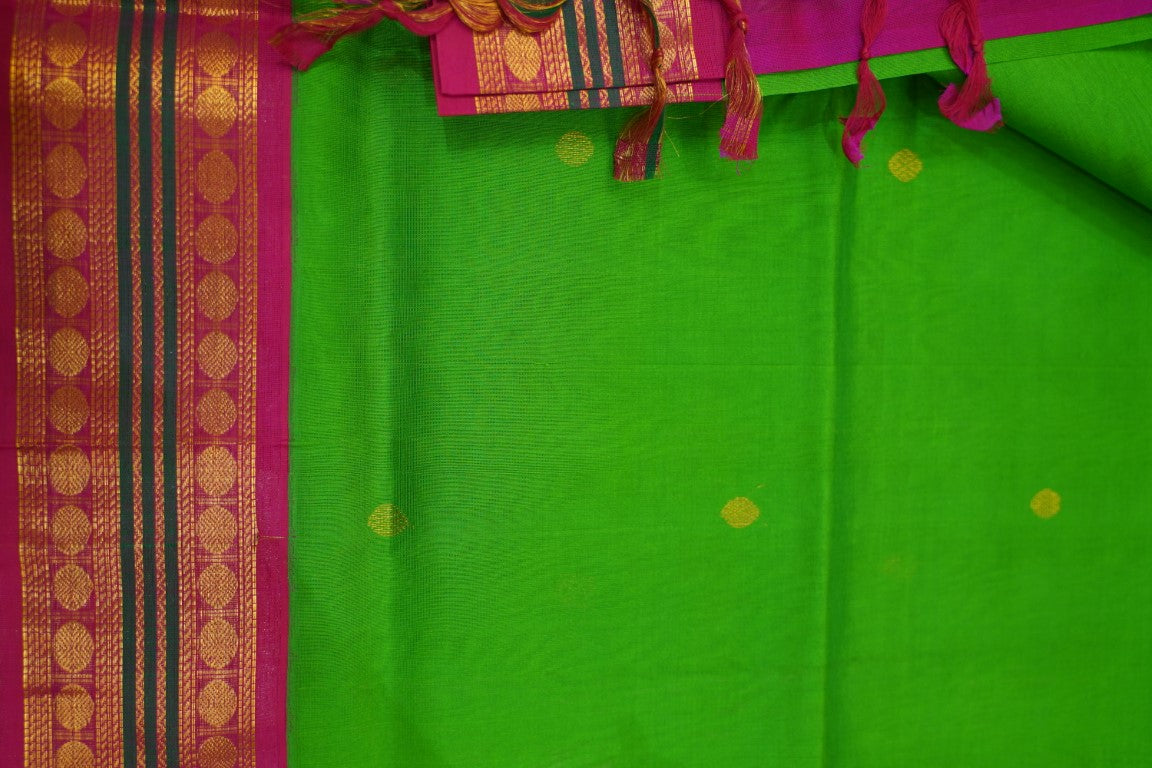 Kanchi Handloom Silk Cotton Saree PC13645