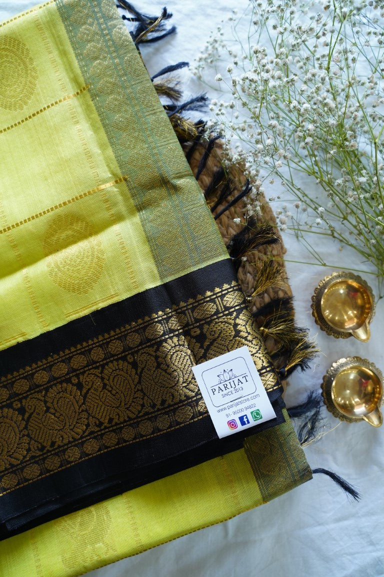 Kanchi Handloom Silk Cotton Saree PC13796