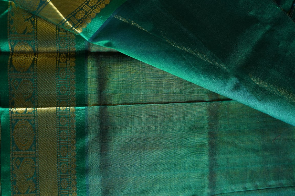 Kanchi Handloom Silk Cotton Saree PC13795