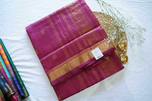 Kanchi Handloom Silk Cotton Saree PC13870