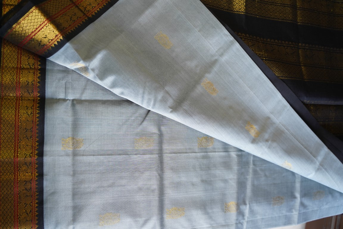 Kanchi Handloom Silk Cotton Saree PC13855