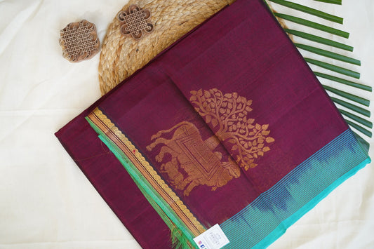 Kanchi Handloom Silk Cotton Saree PC13961