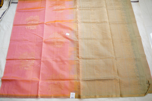 Kanchi Handloom Silk Cotton Saree PC13962