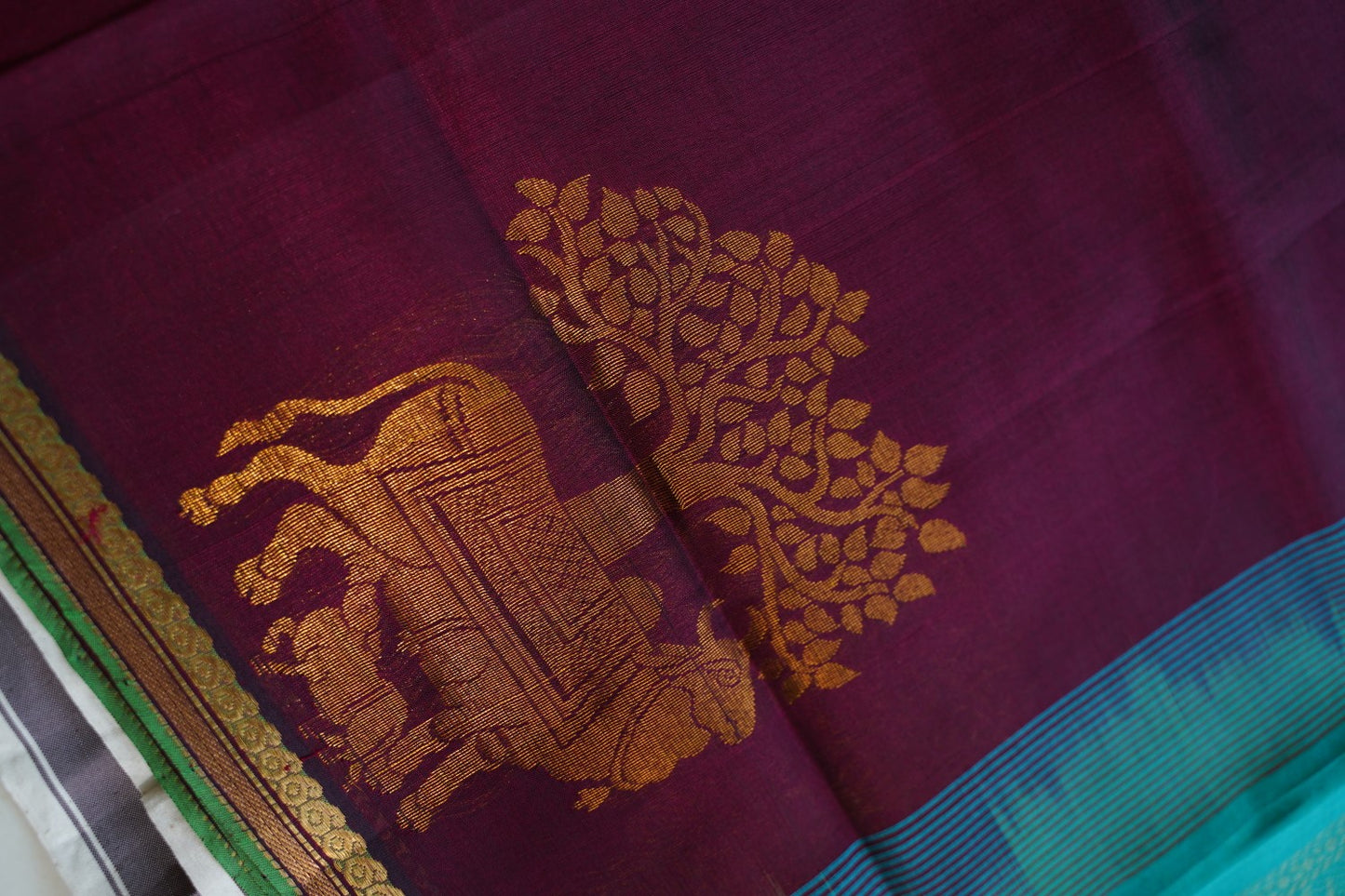 Kanchi Handloom Silk Cotton Saree PC13961