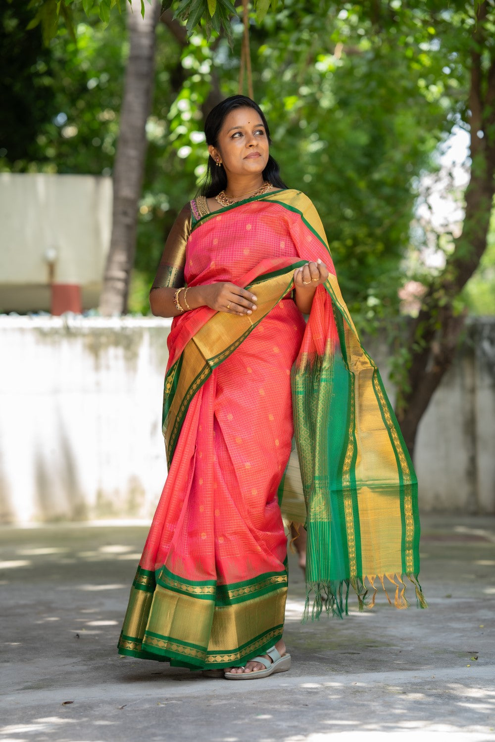 Kanchi Handloom Silk Cotton Saree PC12252