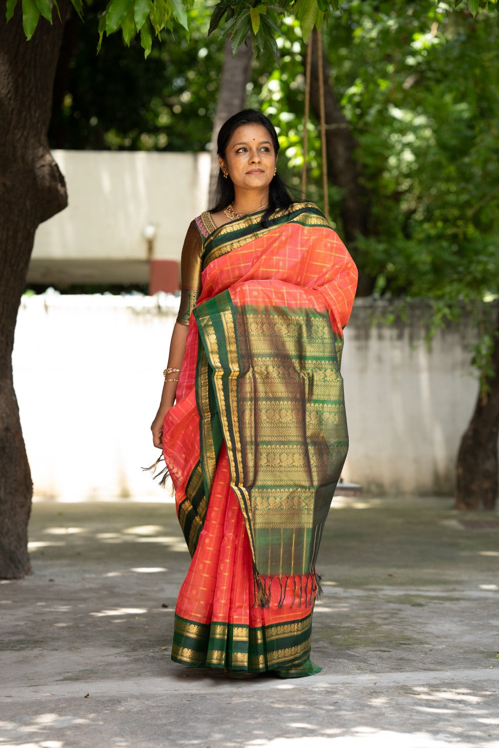 Kanchi  Handloom Silk Cotton  PC12394