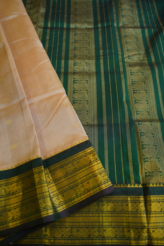 Kanchi Handloom Silk Cotton Saree PC13093