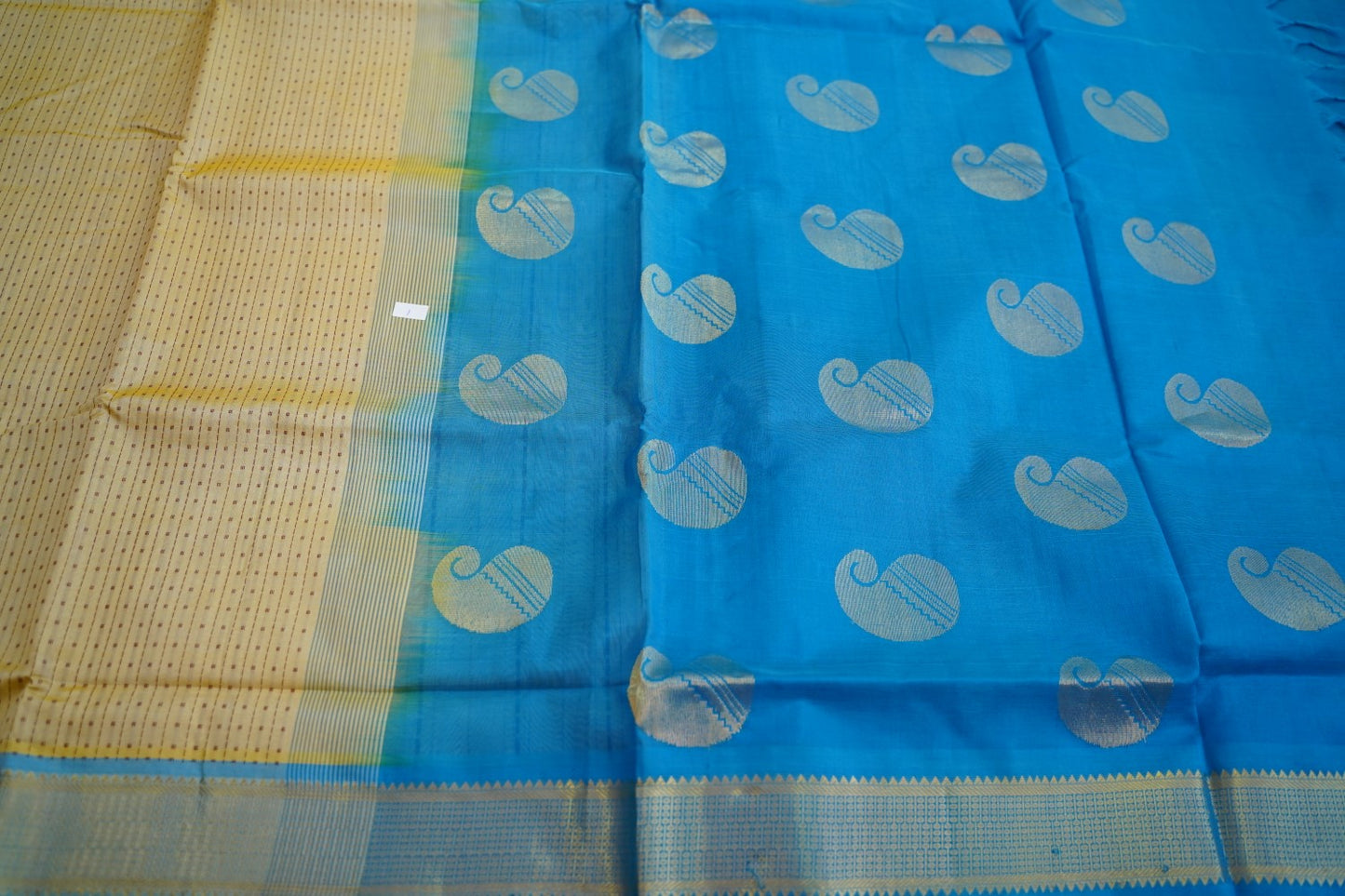 Kanchi Handloom Silk Cotton Saree PC13096