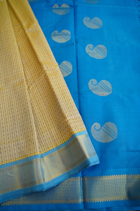 Kanchi Handloom Silk Cotton Saree PC13092