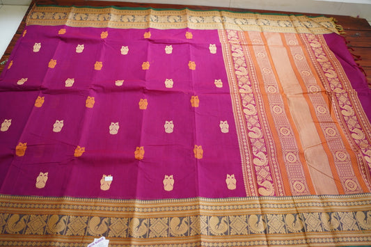 Kanchi handloom Cotton  Saree PC13107