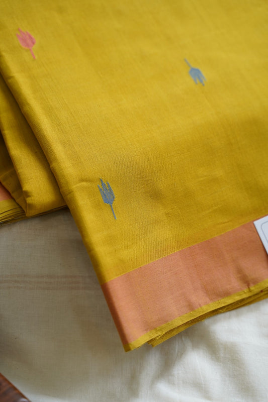 Ponduru handloom Cotton Saree  PC13212