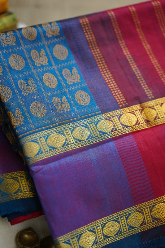 Kanchi Handloom Silk Cotton Saree PC13309