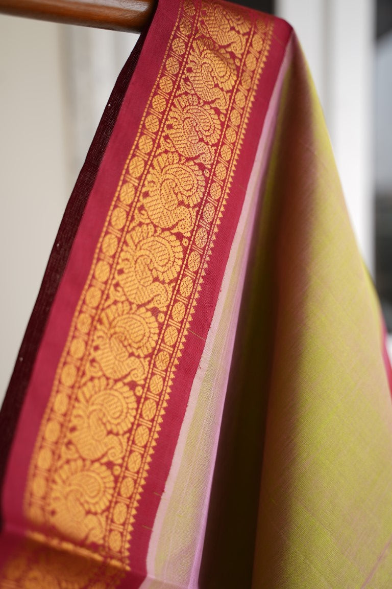 Kanchi Handloom Silk Cotton Saree PC13689