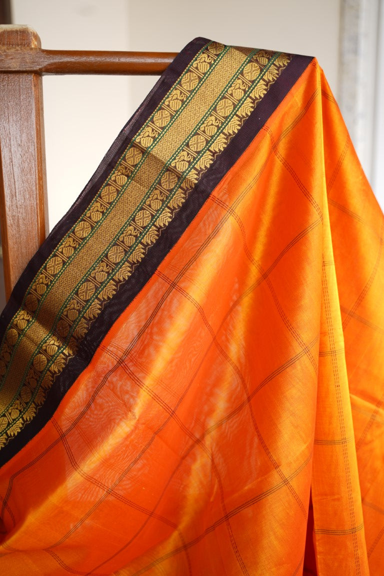 Kanchi Handloom Silk Cotton Saree PC13644