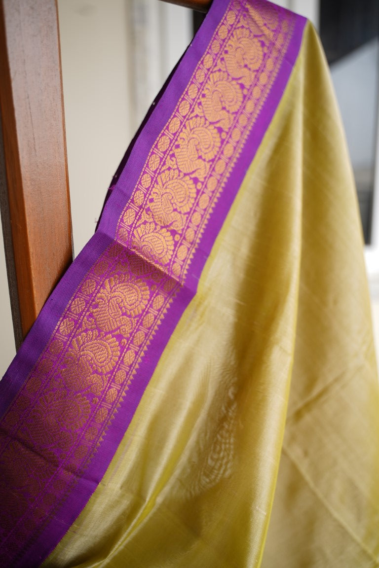 Kanchi Handloom Silk Cotton Saree PC13685