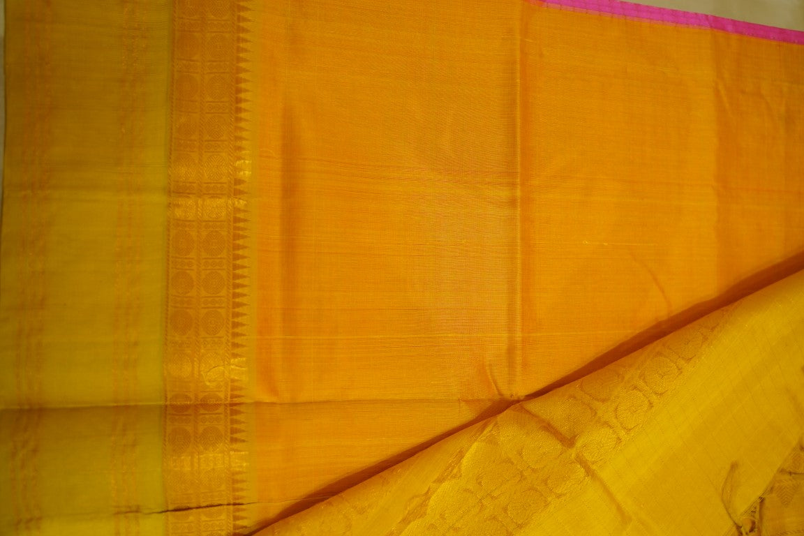 Kanchi Handloom Silk Cotton Saree PC13684