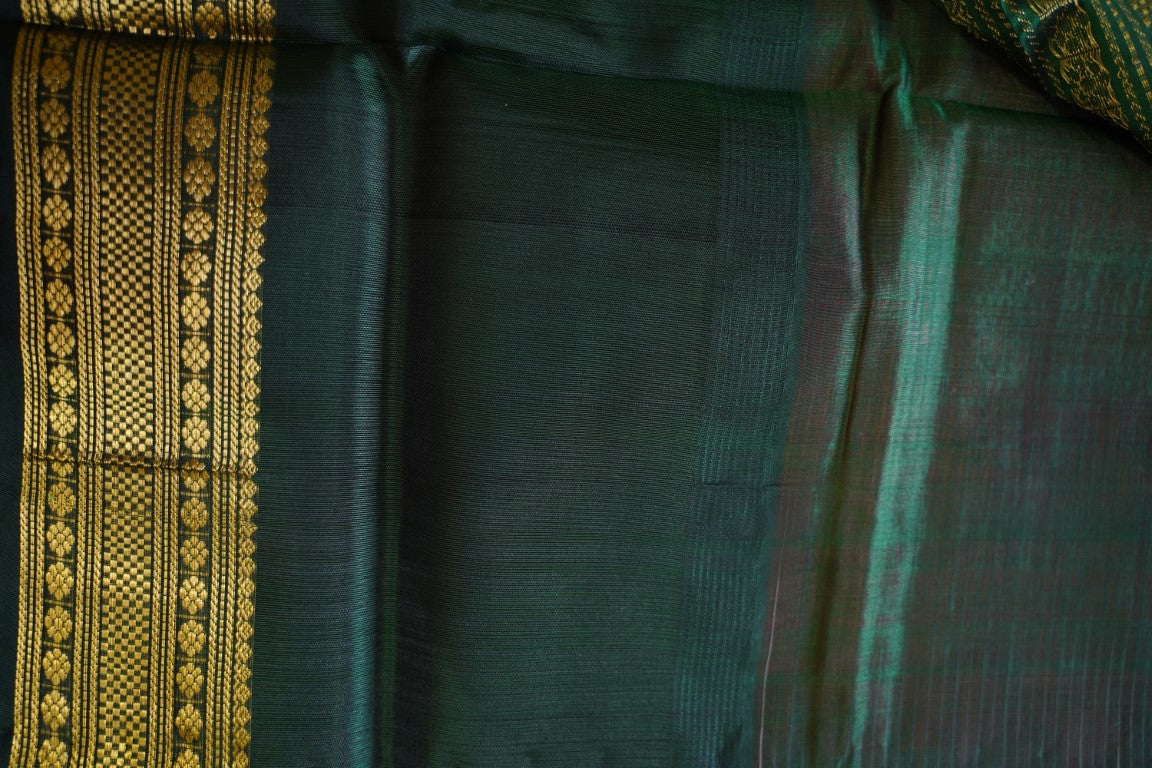 Kanchi Handloom Silk Cotton Saree PC13669