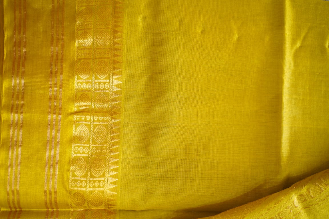 Kanchi Handloom Silk Cotton Saree PC13666