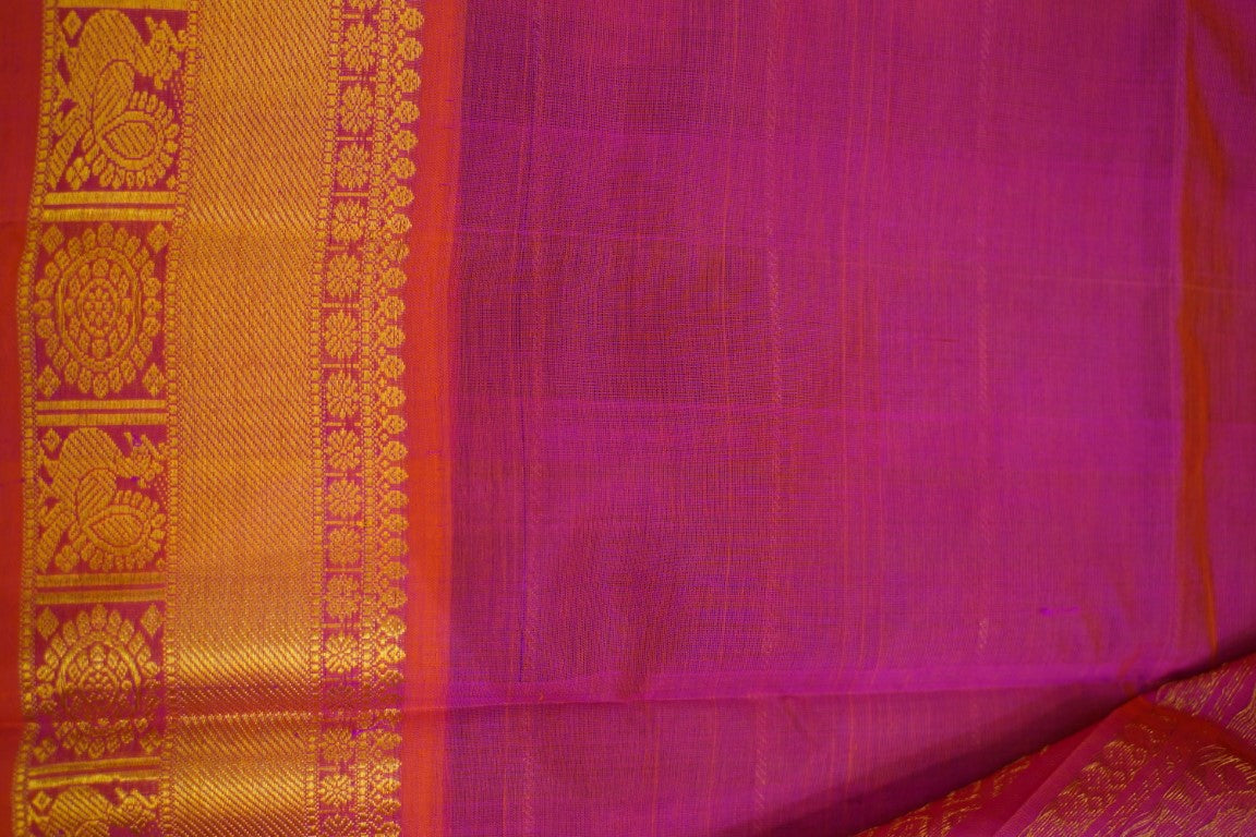 Kanchi Handloom Silk Cotton Saree PC13657