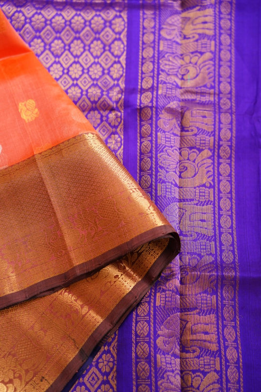 Kanchi Handloom Silk Cotton Saree PC7773